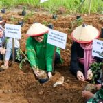 P2L Dukung Program TMMD ke 119 di Desa Sembung Kabulaten Gersik.