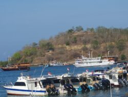 Pasokan Pertamax Langka Speed Boat Labuan Bajo Gagal Bawa Wisatawan